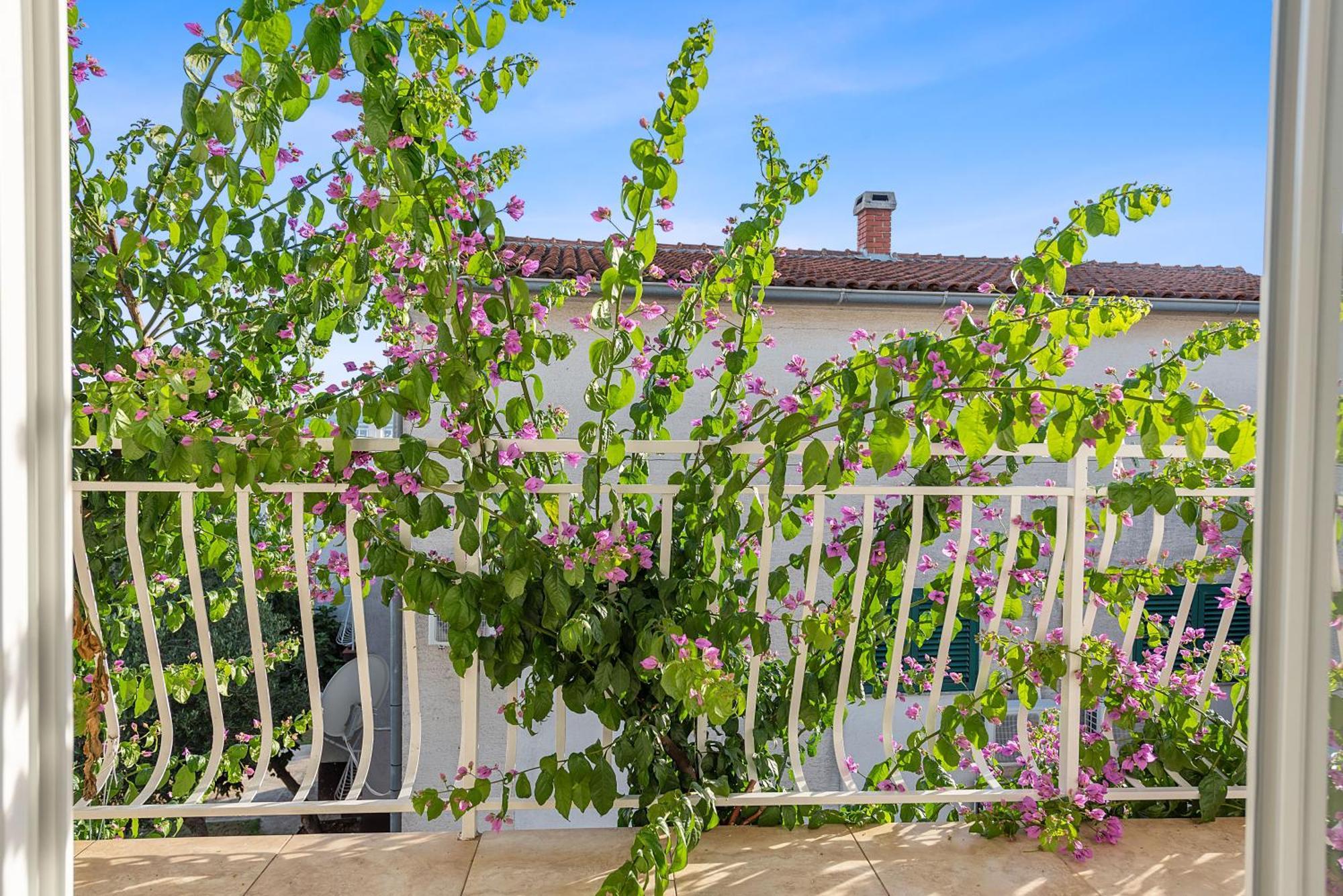 Apartments Petrina Sveti Filip i Jakov Bagian luar foto